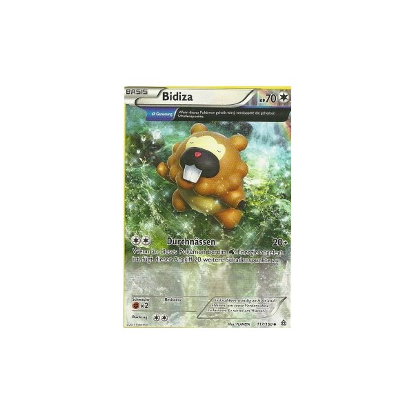 Bidiza 117/160 REVERSE HOLO