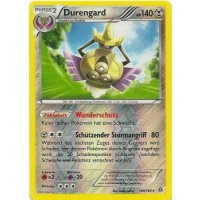 Durengard 100/160 REVERSE HOLO