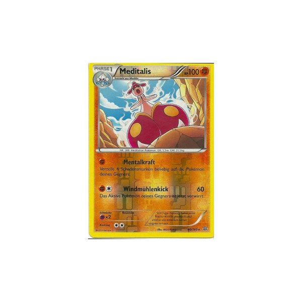 Meditalis 080/160 REVERSE HOLO