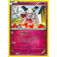 Pantimos 101/160 REVERSE HOLO