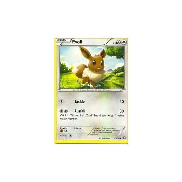 Evoli 63/98