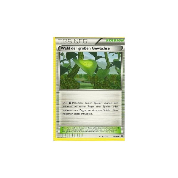 Wald der gro&szlig;en Gew&auml;chse 74/98