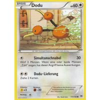Dodu 115/162