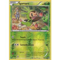 Igamaro 007/162 REVERSE HOLO