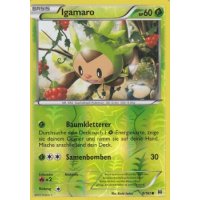 Igamaro 009/162 REVERSE HOLO