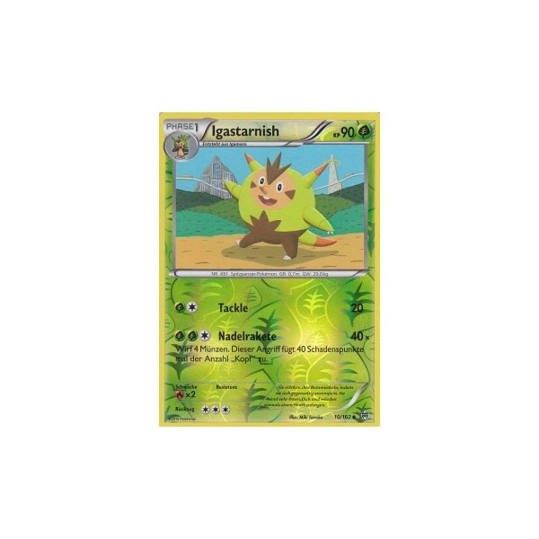 Igastarnish 010/162 REVERSE HOLO