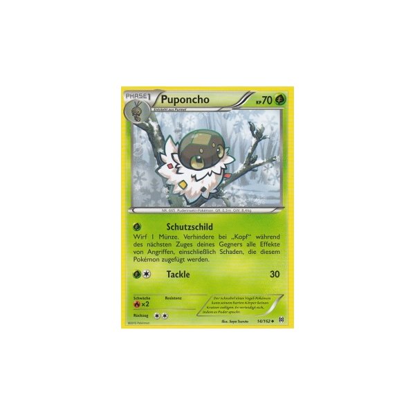 Puponcho 014/162
