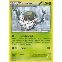 Puponcho 014/162