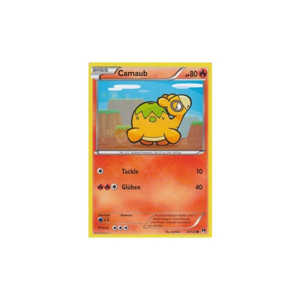 Camaub 012/122
