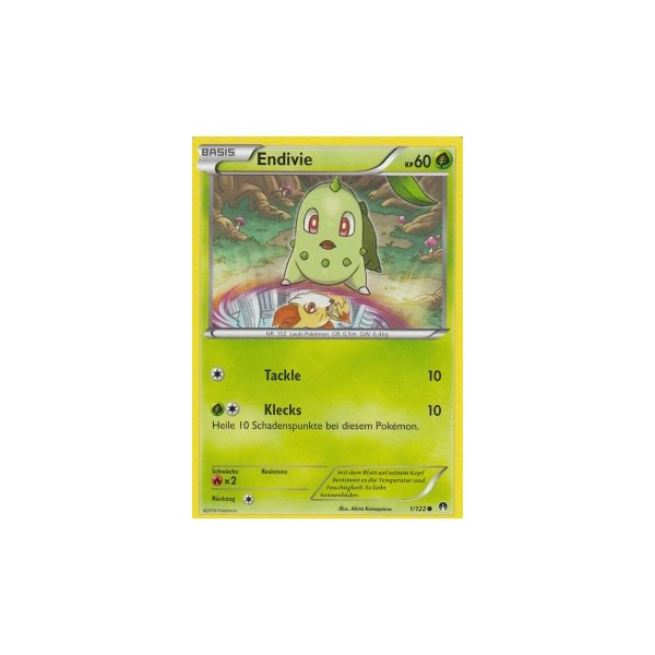 Endivie 001/122