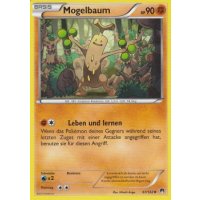 Mogelbaum 067/122