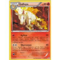 Gallopa 15/83