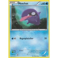 Muschas 19/83
