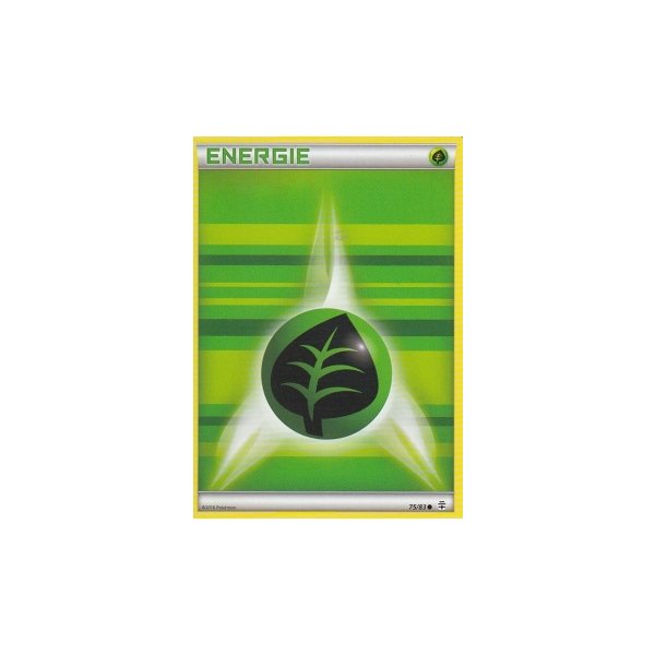 Pflanzen-Basis-Energie 75/83