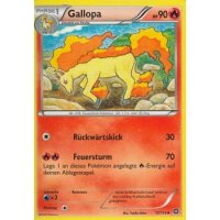 Gallopa 017/114