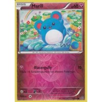 Marill 076/114 REVERSE HOLO