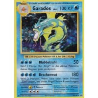 Garados 034/108 HOLO