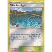 Plätscherhügel 120/145 REVERSE HOLO