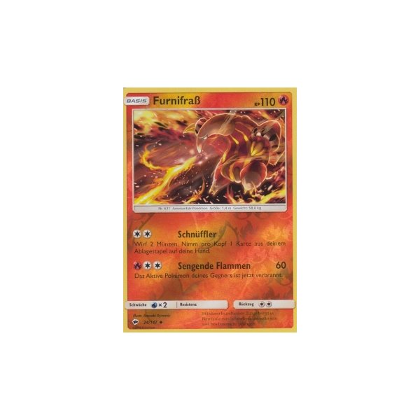 Furnifra&szlig; 024/147 REVERSE HOLO