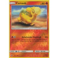 Camaub 013/111 REVERSE HOLO