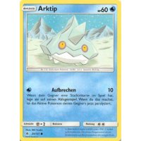 Arktip 029/131