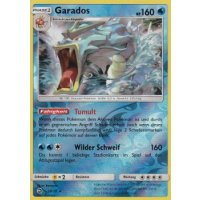 Garados 20/70 REVERSE HOLO