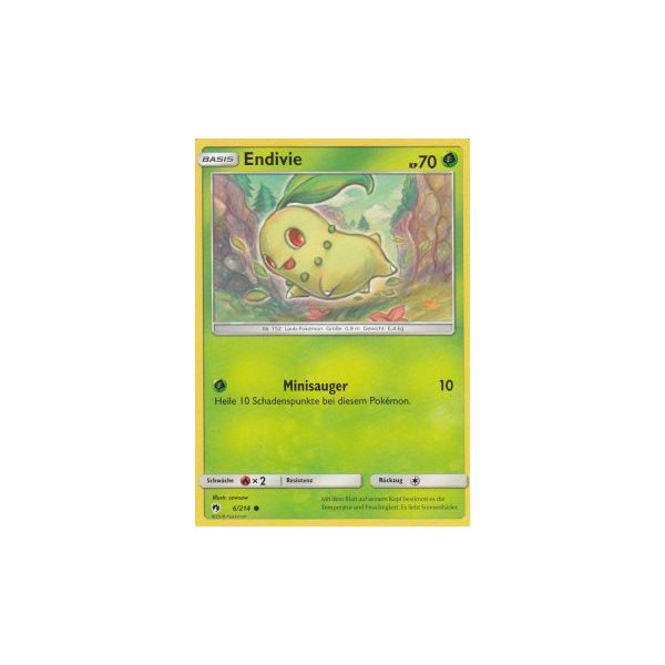 Endivie 006/214