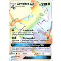 Gewaldro-GX 216/214 RAINBOW