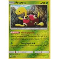 Pottrott 016/214 REVERSE HOLO