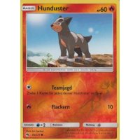 Hunduster 045/214 REVERSE HOLO