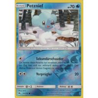 Petznief 061/214 REVERSE HOLO