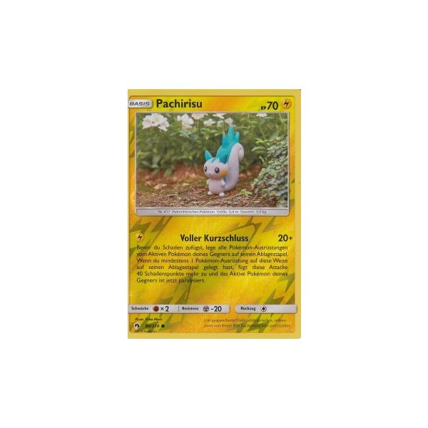 Pachirisu 080/214 REVERSE HOLO