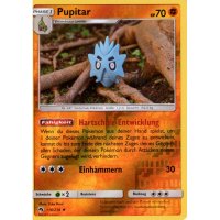 Pupitar 116/214 REVERSE HOLO