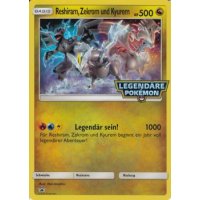 Reshiram, Zekrom und Kyurem PROMO HOLO OVERSIZED/ÜBERGROß