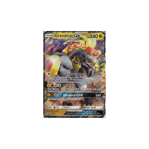 Grandiras-GX SM71 HOLO OVERSIZED/&Uuml;BERGRO&szlig;