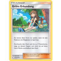 Grüns Erkundung 175/214