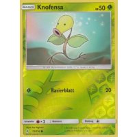 Knofensa 013/214 REVERSE HOLO