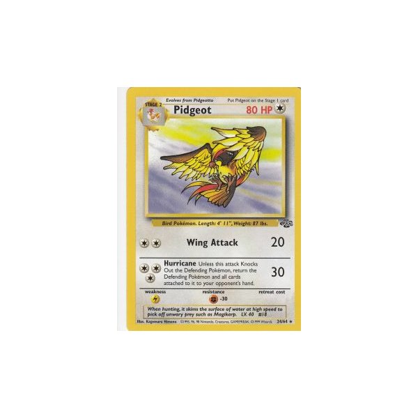 Pidgeot 24/64 BESPIELT