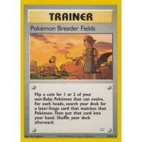Pokémon Breeder Fields 62/64 BESPIELT