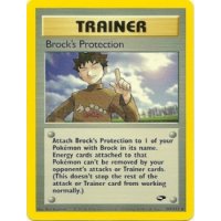 Brocks Protection 101/132 BESPIELT