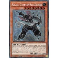 Rafale, Champion-Fells&ouml;ldner DASA-DE023