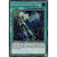 Himmelsjäger-Mobilisierung - Angriff DASA-DE030