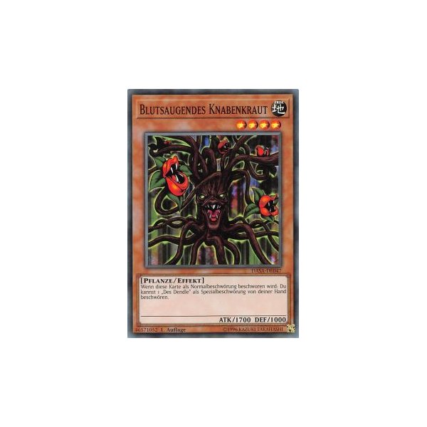 Blutsaugendes Knabenkraut DASA-DE047