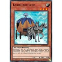 Kürbiskutsche BLRR-DE005