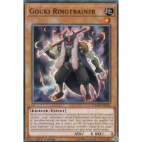 Gouki Ringtrainer CYHO-DE005