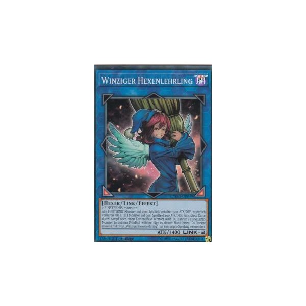 Winziger Hexenlehrling CYHO-DE049