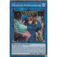 Winziger Hexenlehrling CYHO-DE049