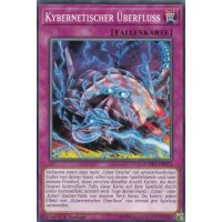 Kybernetischer &Uuml;berfluss CYHO-DE073