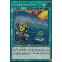 Punktlandung CYHO-DE081