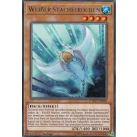 Weißer Stachelrochen CYHO-DE096